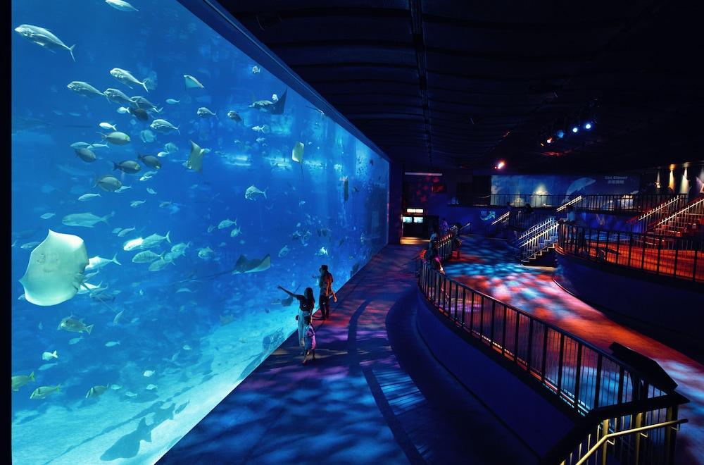 Resorts World Sentosa - Hotel Michael Singapur Exteriér fotografie
